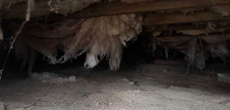 insulation falling in a crawl space